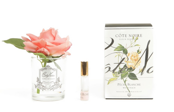 Cote Noire Perfumed Natural Touch Single Rose - Clear - White Peach